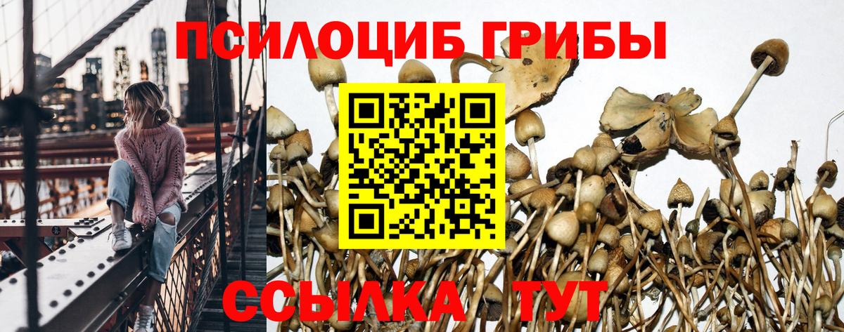 Галлюциногенные грибы ЛСД  Вход с VPN  Гулькевичи 